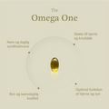 The Omega One