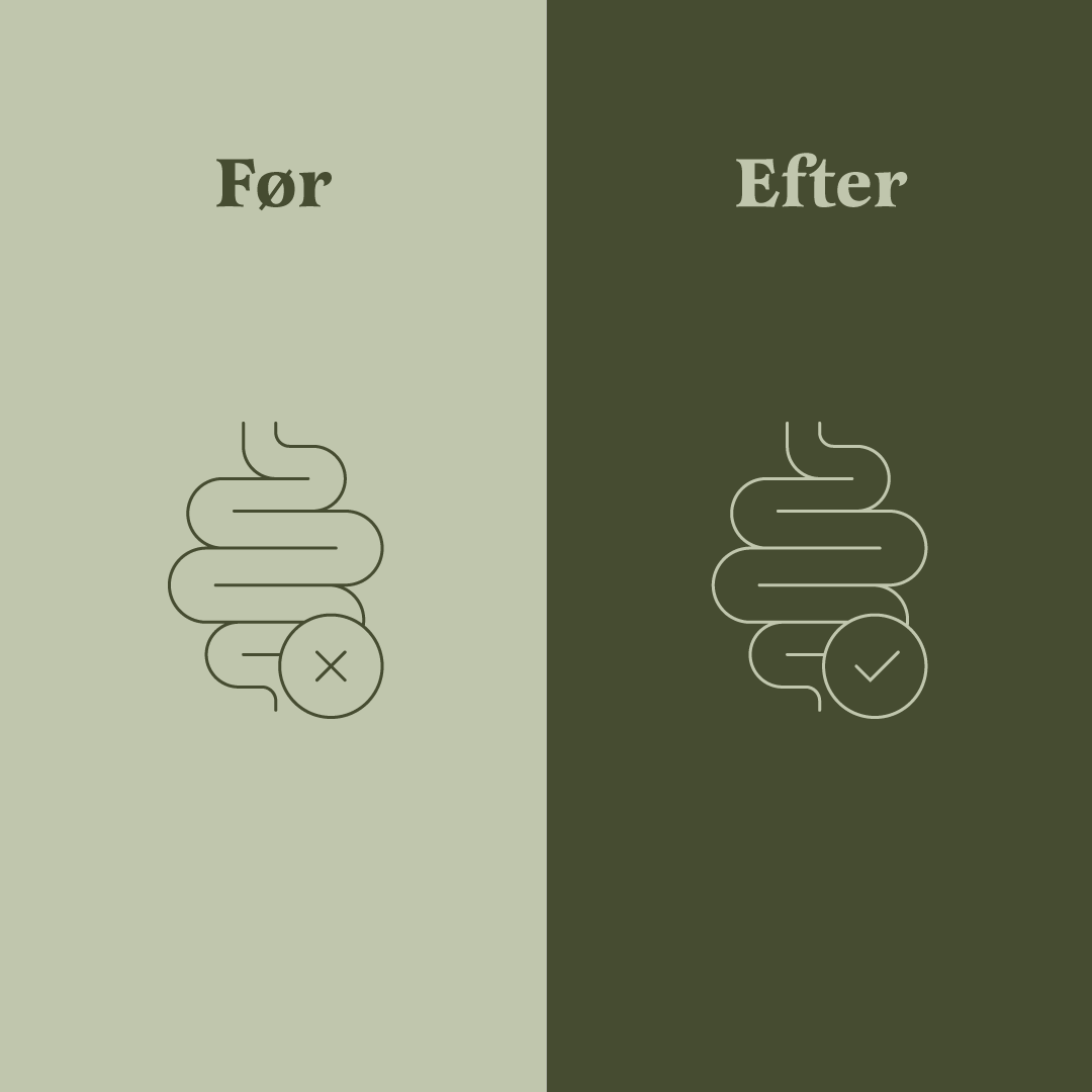 The Gut One